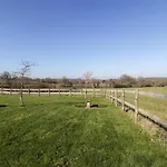 Field View