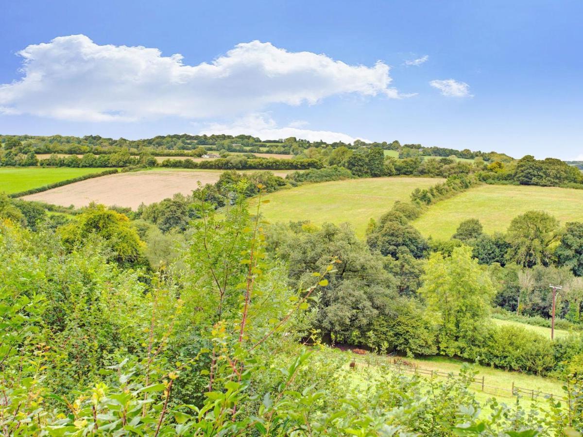 Hill View With Garden Taunton