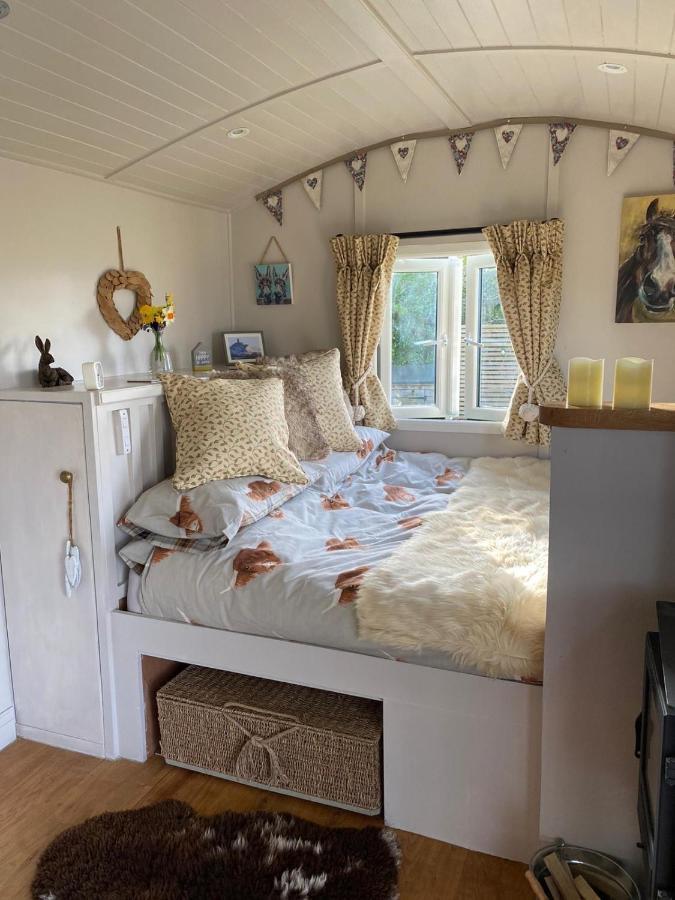 Willowbank Shepherds Hut * Taunton