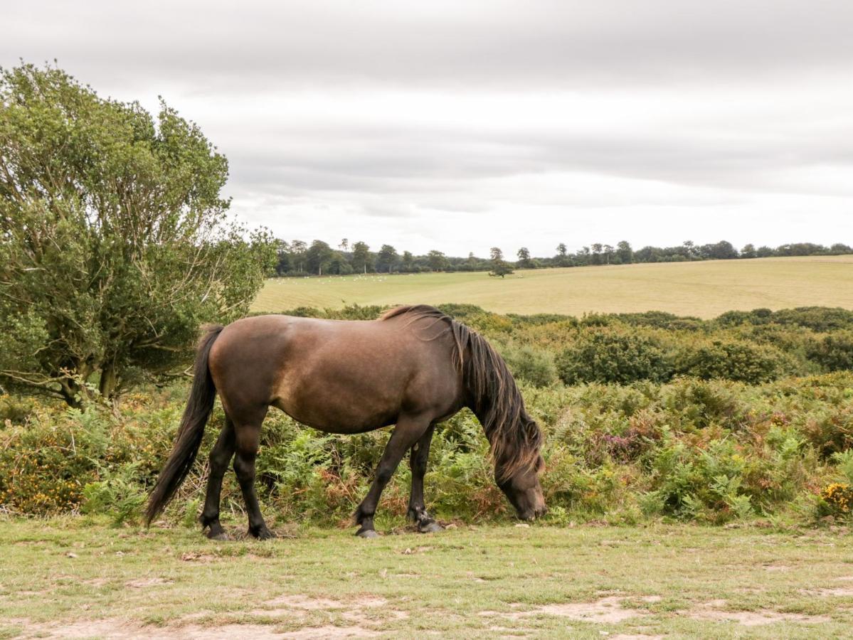 The Stables Holiday home *