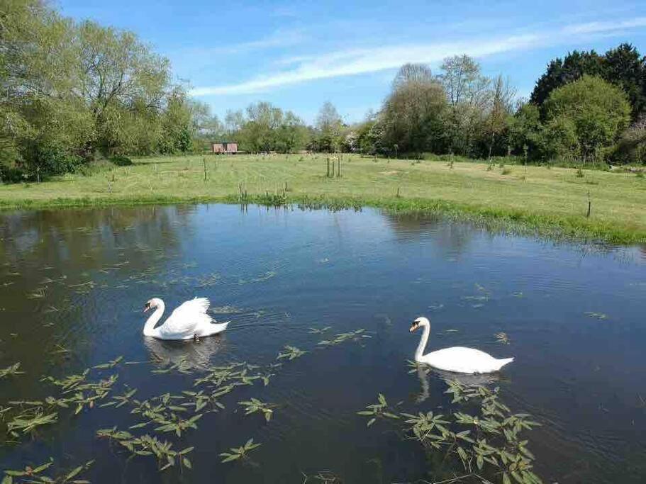 Apartment Riverside Retreat Taunton