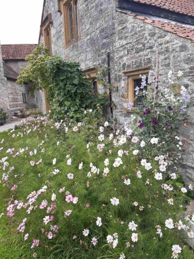 The Manor House, Curry Mallet Country house