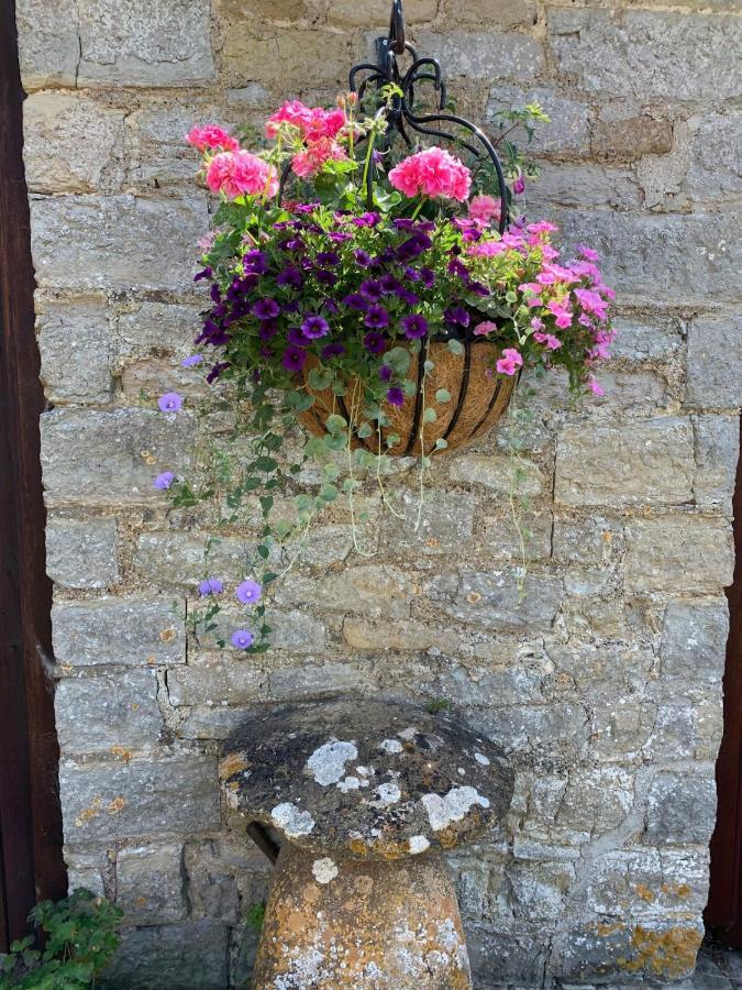 The Manor House, Curry Mallet Taunton