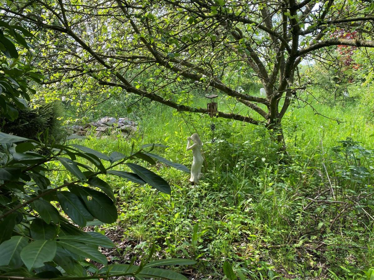 The Hobbit House And Secret Garden Lodge Taunton