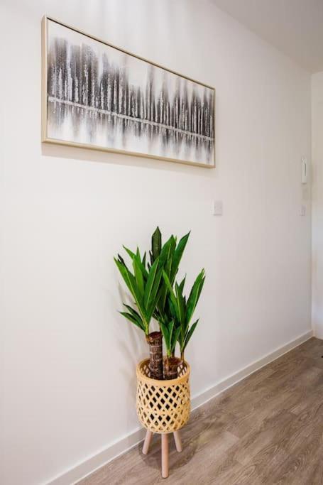 Waterside 2 Bed & Free Off Road Parking & Wifi Taunton