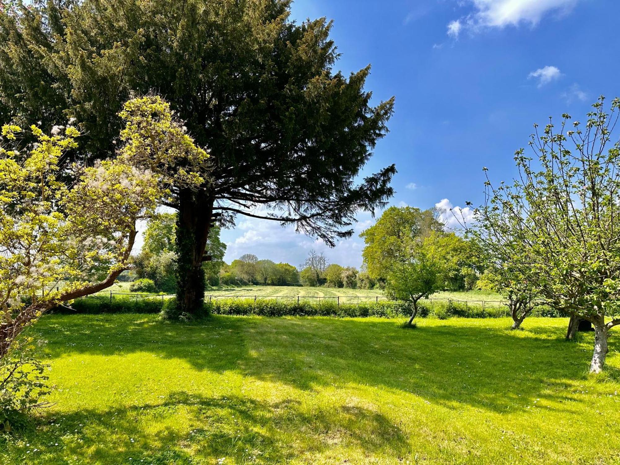 Octon Luxury 1 And 2 Bedroom 1 Mile From Centre * Taunton