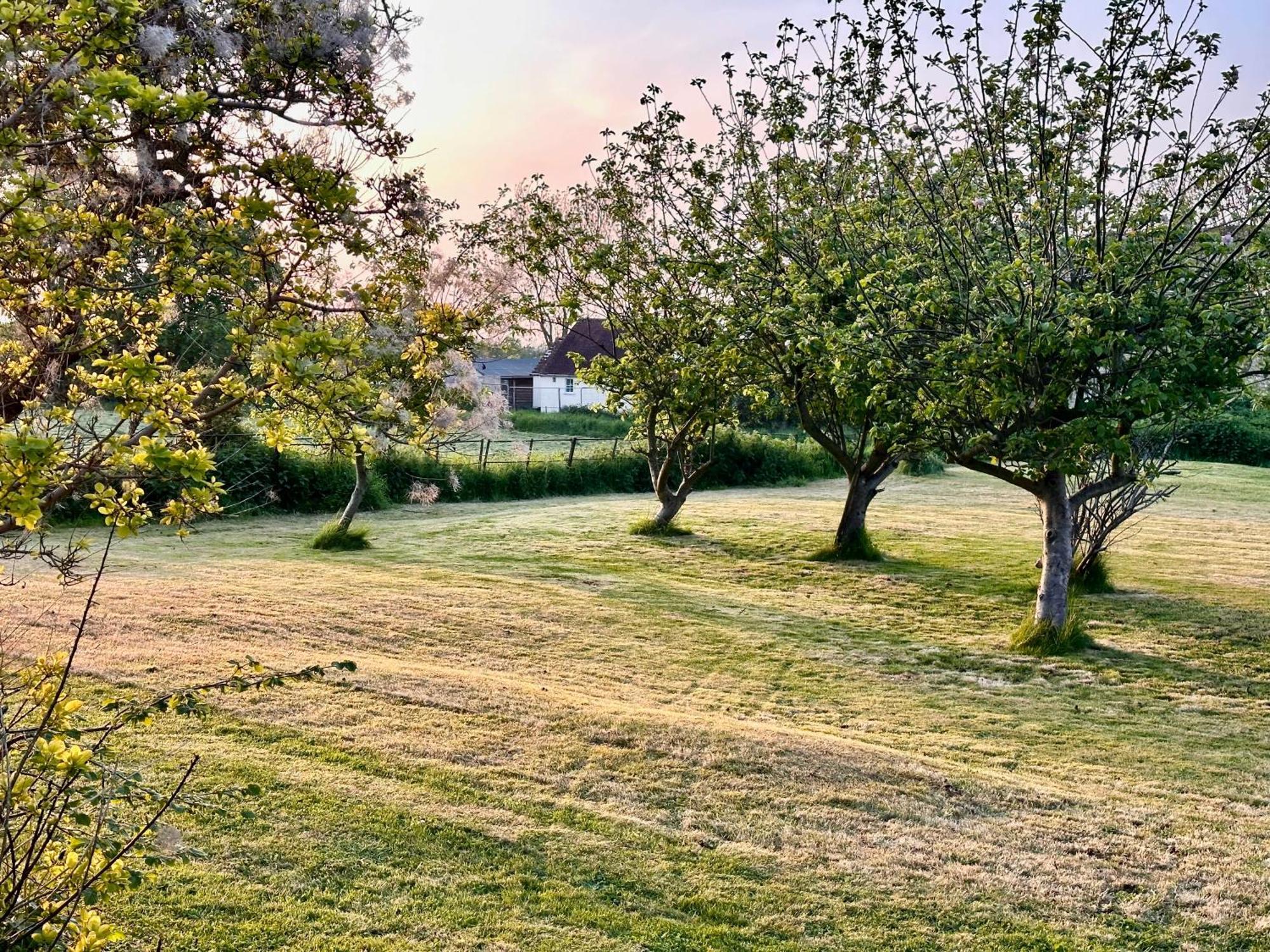Octon Luxury 1 And 2 Bedroom 1 Mile From Centre Holiday home *