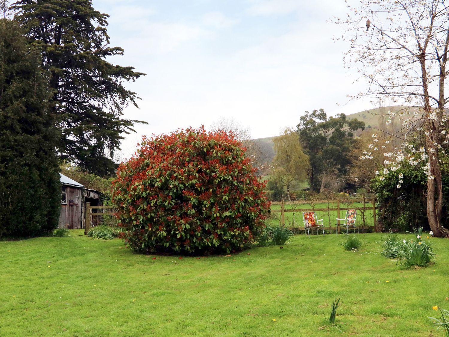 Whites Meadow *
