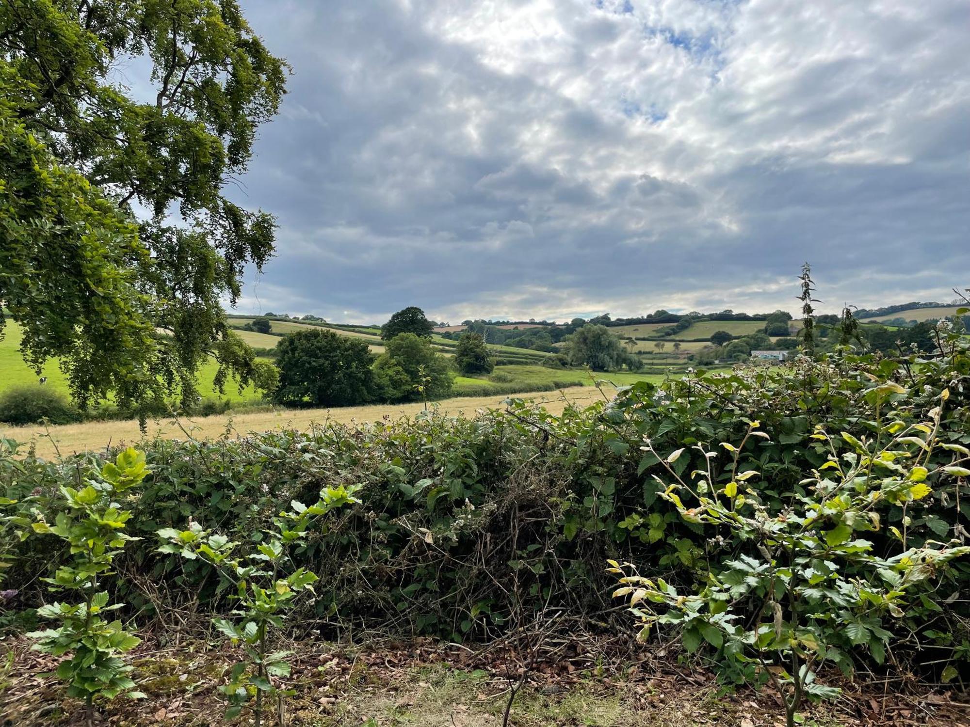 Court Holiday home Taunton