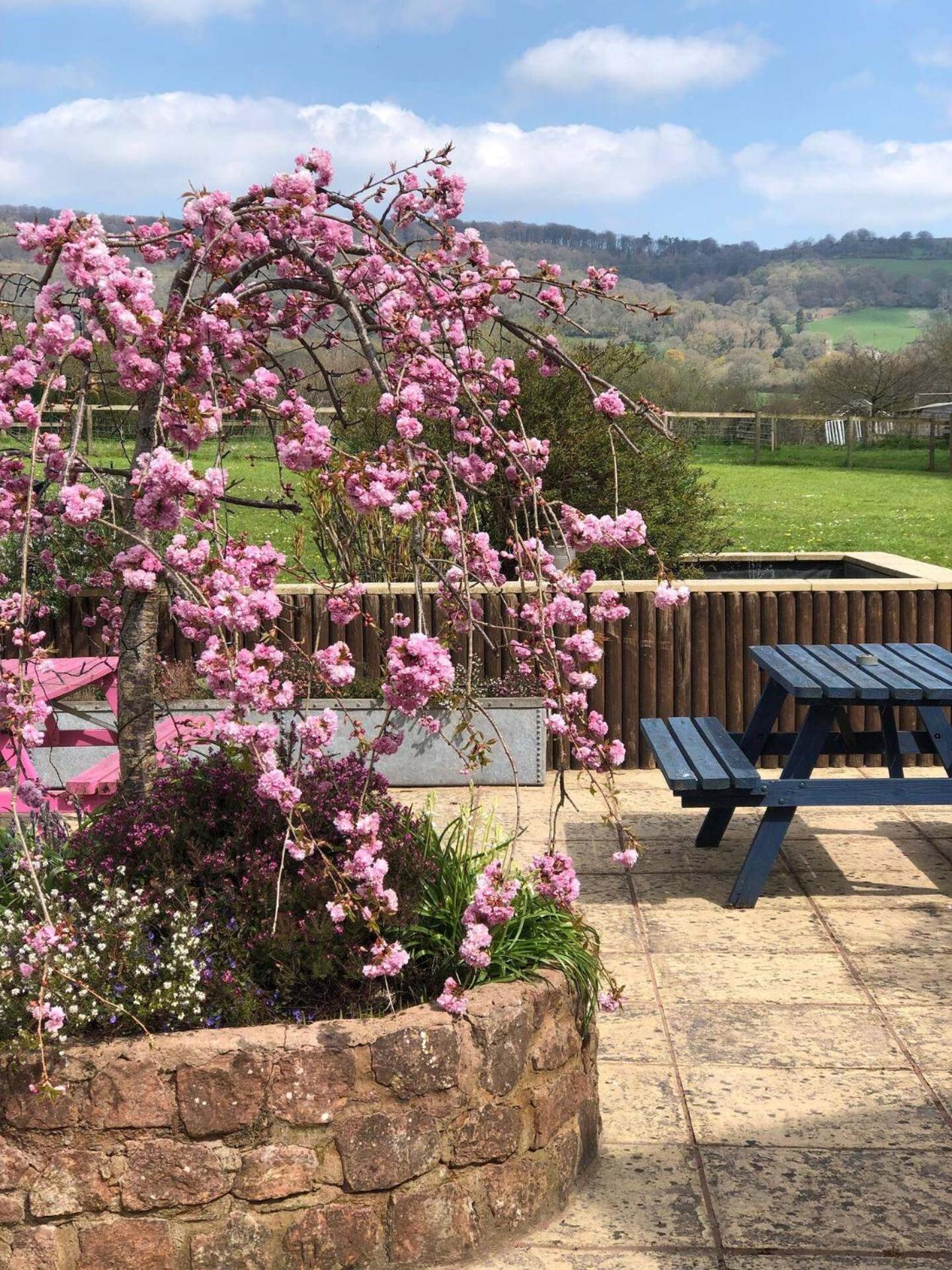 5-bed - Sleeps 12 Pool Garden & Play Area Holiday home *