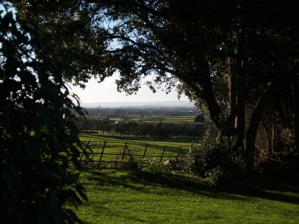 The Mount Somerset Taunton