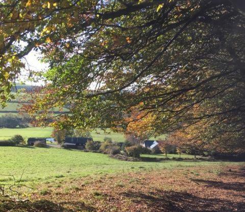 The Old Stables Farm stay Taunton