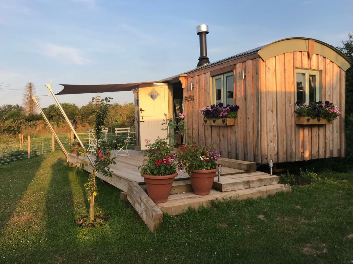 Willowbank Shepherds Hut Farm stay *