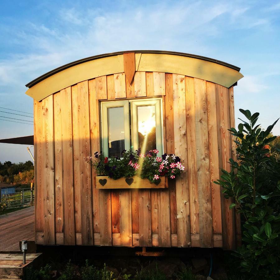 Willowbank Shepherds Hut Farm stay Taunton