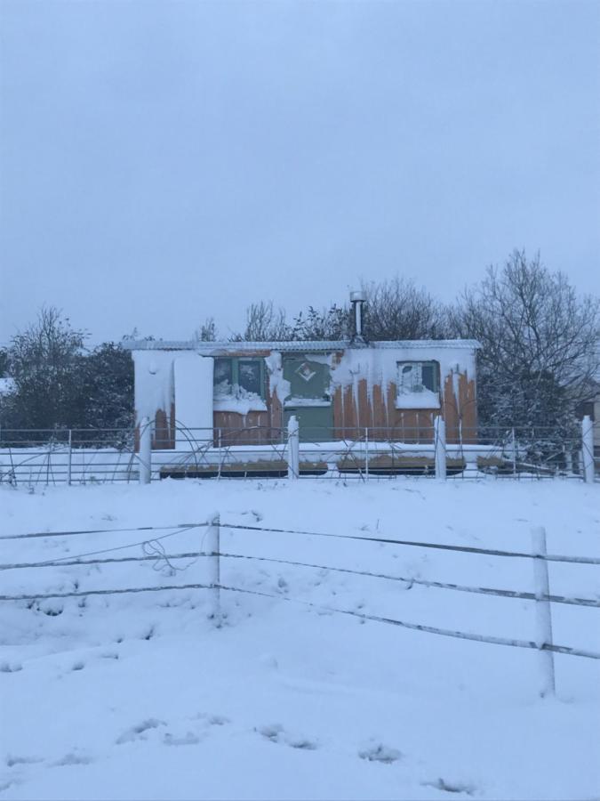 Willowbank Shepherds Hut Taunton