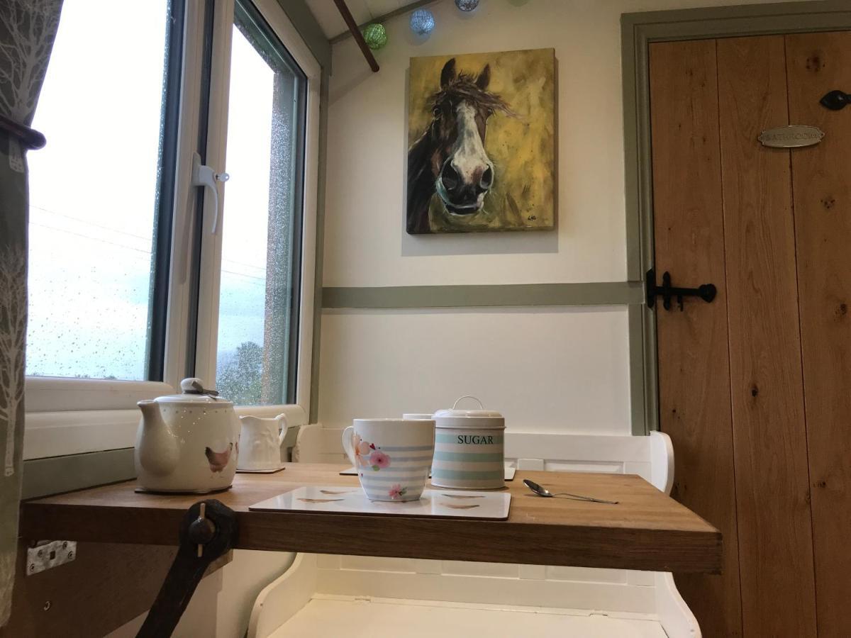 Willowbank Shepherds Hut Farm stay Taunton