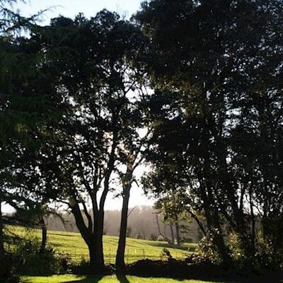 The Mount Somerset
