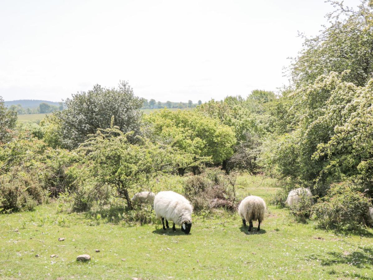 Watermead Holiday home *