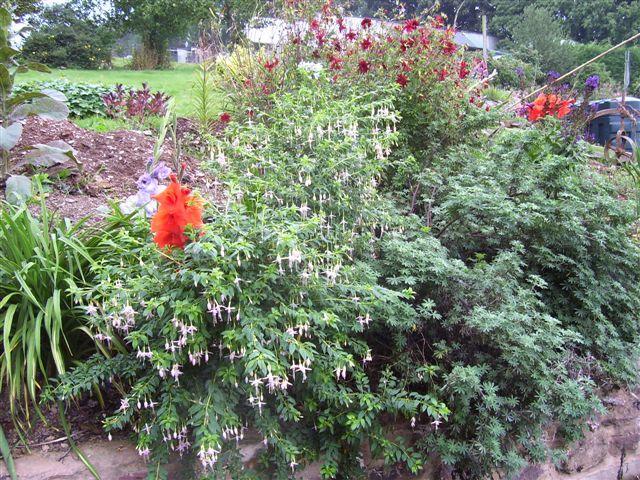 High Orchard