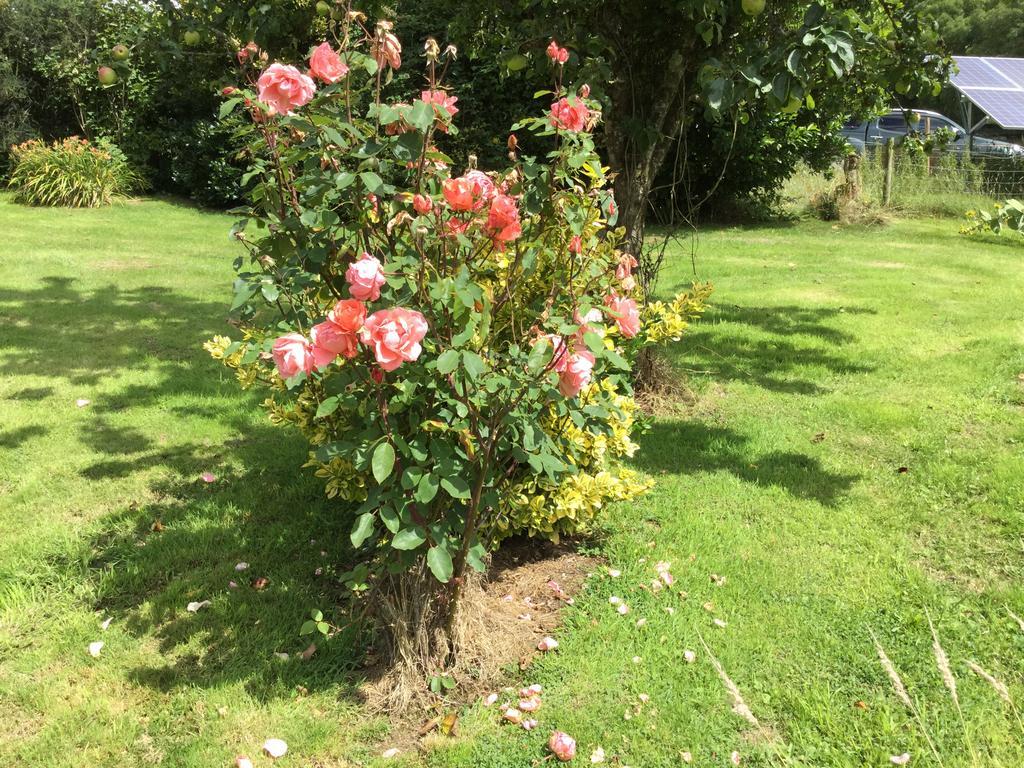 High Orchard Bed & Breakfast 3*