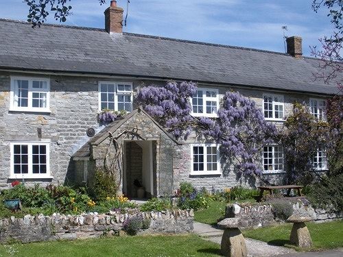 Frog Street Bed & Breakfast Taunton