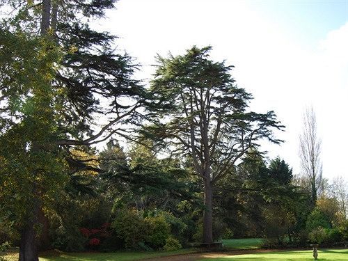 Langaller Manor House