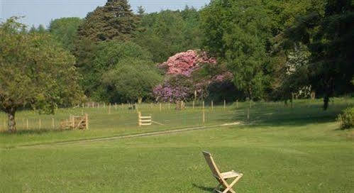 Culmhead House