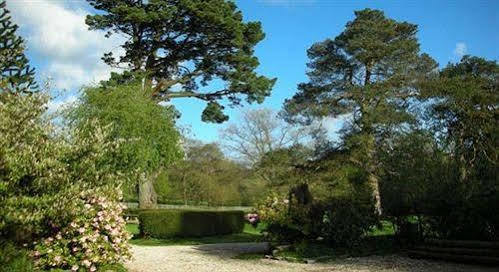 Culmhead House Hotel