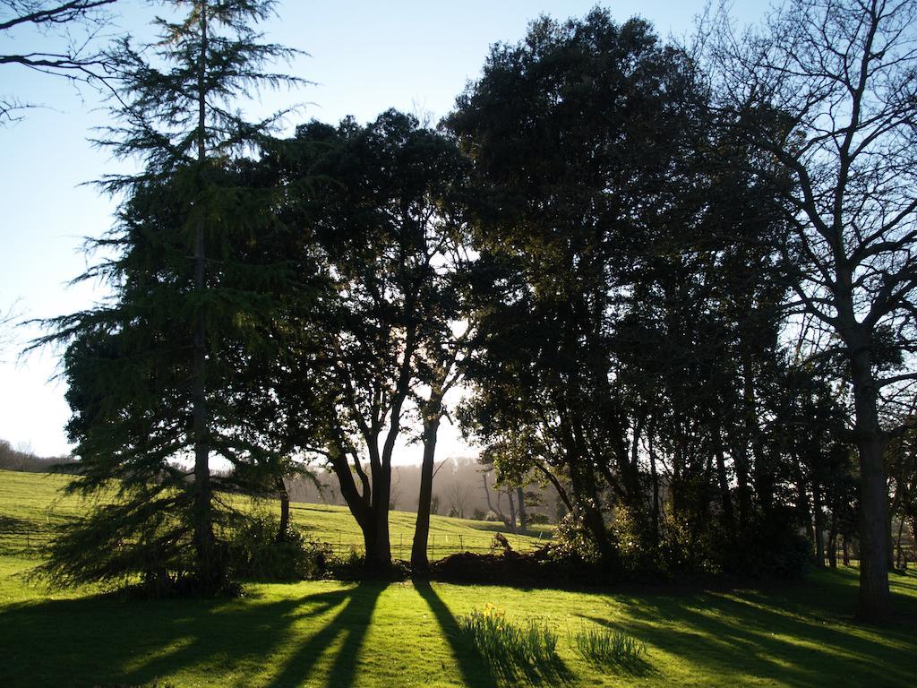 Country house The Mount Somerset Taunton