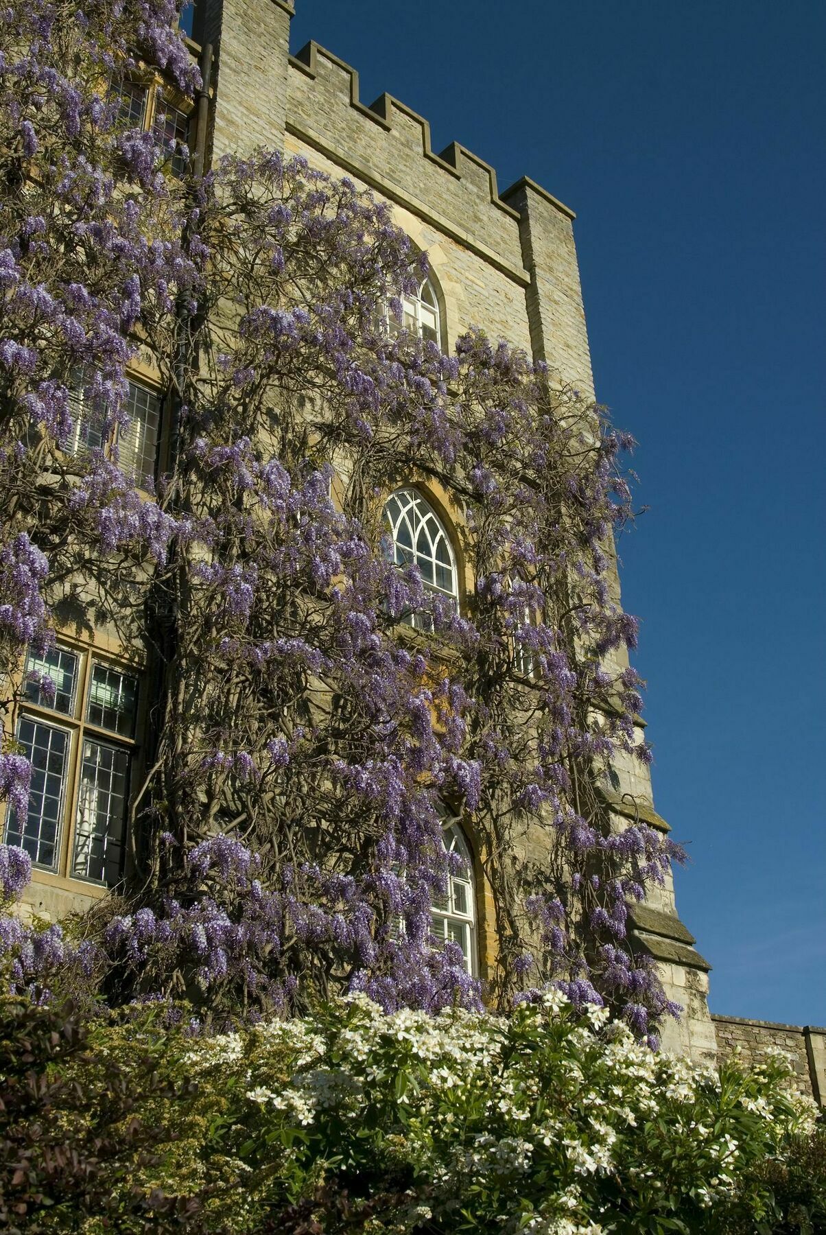 Castle Hotel 4*